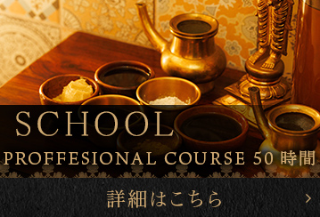 プロフェッショナルコース50時間日程